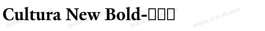 Cultura New Bold字体转换